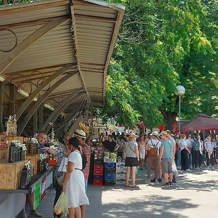 Tip Apartmán Pula